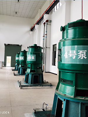 潛臺(tái)溝排水泵站及...